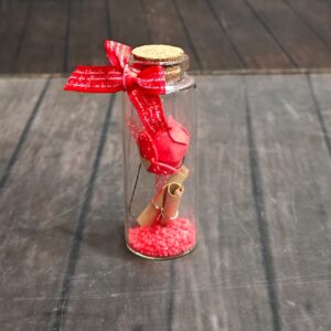 24603 WISHING BOTTLE