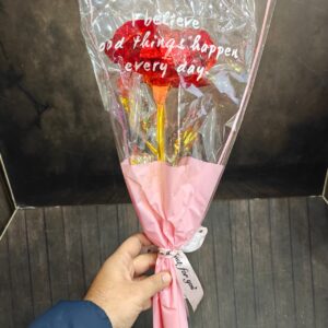 49082 BIG ROSE